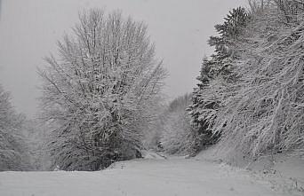 Abant Tabiat Parkı'nda ziyaretçiler karın keyfini çıkardı
