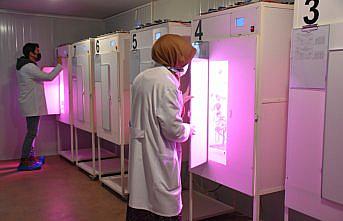 Amerika'da gördüğü dikey tarım sistemini Trabzon'da hayata geçirdi