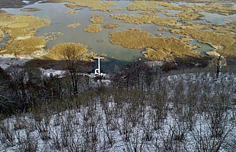 Efteni Gölü Kuş Cenneti'nde kar manzarası havadan görüntülendi