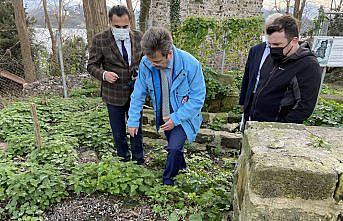 Giresun Adası'nda gelecek yıl yeni arkeolojik kazılar gerçekleştirilecek