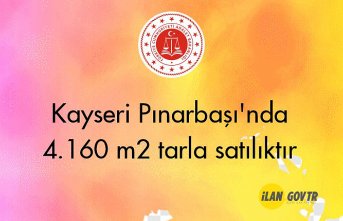Kayseri Pınarbaşı'nda 4.160 m² tarla mahkemeden satılıktır