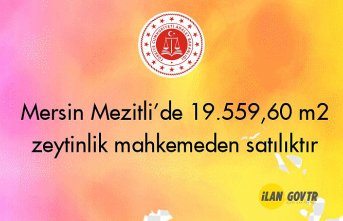 Mersin Mezitli’de 19.559,60 m² zeytinlik mahkemeden satılıktır