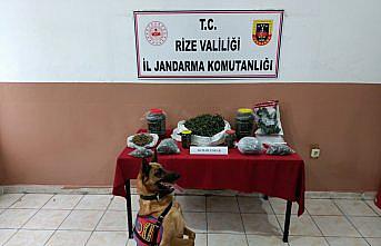 Rize'de jandarma ekiplerince son bir ayda 10,5 kilo esrar ele geçirildi