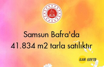 Samsun Bafra'da 41.834 m2 tarla icradan satılıktır
