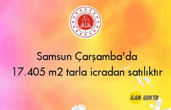 Samsun Çarşamba'da 17.405 m² tarla icradan satılıktır