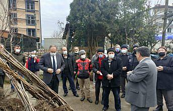 Zonguldak'ta atıl arazilere 16 bin ceviz fidanı dikilecek