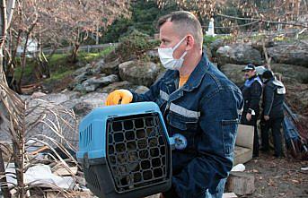 Zonguldak'ta kıyılarda görüntü kirliliği oluşturan yapılar yıkılıyor