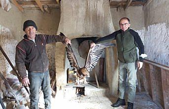 Bolu'da bulunan yaralı kaya kartalı tedavi altına alındı