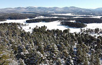 Bolu'nun karla kaplanan ormanları havadan görüntülendi
