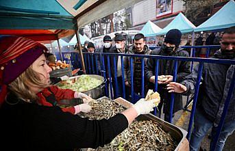Düzce'de festivalde 7 ton hamsi dağıtılacak
