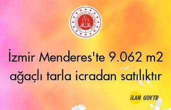 İzmir Menderes'te 9.062 m² ağaçlı tarla icradan satılıktır