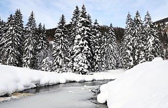 Kaçkar Dağları Milli Parkı beyaz örtüyle kaplandı