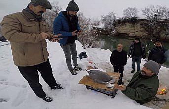 Karabük'te yaralı bulunan gri balıkçıl tedaviye alındı