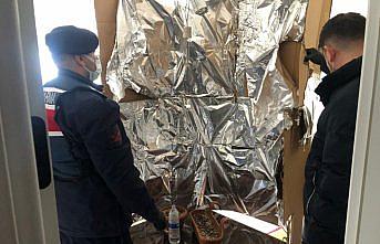 Kastamonu'da saksıda Hint keneviri yetiştiren kişi yakalandı