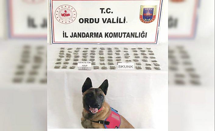 Ordu'da uyuşturucu operasyonunda 3 kişi yakalandı