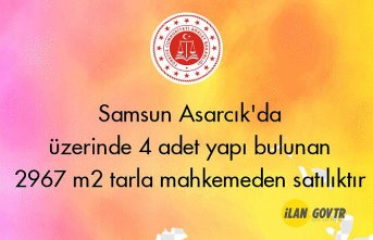 Samsun Asarcık'da üzerinde 4 adet yapı bulunan 2967 m² tarla satılıktır