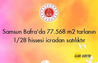 Samsun Bafra'da 77.568 m² tarlanın 1/28 hissesi icradan satılıktır