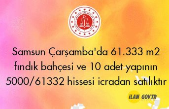 Samsun Çarşamba'da 61.333 m² fındık bahçesi ve 10 adet yapı satılıktır