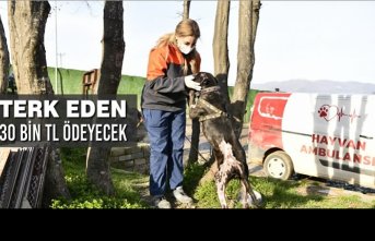 Terk Eden 30 Bin Tl Ödeyecek