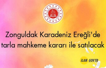 Zonguldak Karadeniz Ereğli'de tarla mahkeme kararı ile satılacak