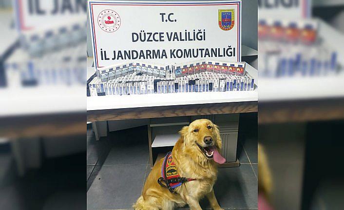 Düzce'de kaçakçılığa yönelik operasyonlar düzenlendi