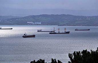 Fırtına uyarısı üzerine yük gemileri Sinop'un doğal limanına sığındı