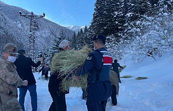 HAYDİ Timleri, yaban hayvanları için doğaya yem bıraktı
