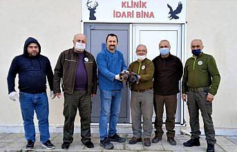 Kastamonu'da bulunan iki ayı yavrusu, Sinop'taki merkezde rehabilite ediliyor