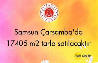 Samsun Çarşamba'da 17405 m² tarla icradan satılacaktır