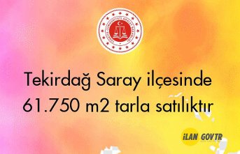Tekirdağ Saray ilçesinde 61.750 m² tarla mahkemeden satılıktır