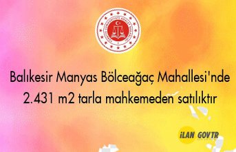 Balıkesir Manyas Bölceağaç Mahallesi'nde 2.431 m² tarla mahkemeden satılıktır