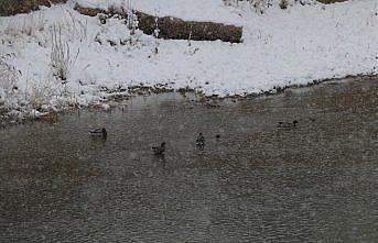 Bayburt'ta kar etkisini sürdürüyor