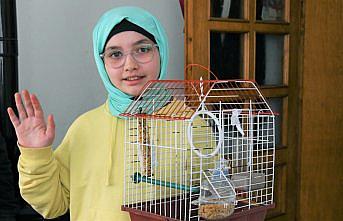 Edanur'un “muhabbet kuşu“ isteğini Samsun Büyükşehir Belediyesi yerine getirdi
