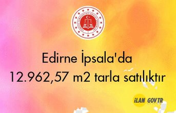 Edirne İpsala'da 12.962,57 m² tarla mahkemeden satılıktır