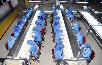 Fındık ihracatında hedef 340 bin ton