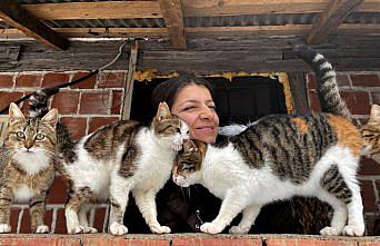 İstanbul'da sokakta bulduğu kedilere köyünde özenle bakıyor