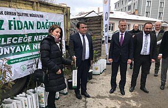 Kavak'ta vatandaşlara 14 bin 250 fidan dağıtıldı