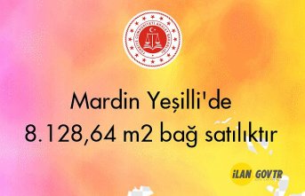 Mardin Yeşilli'de 8.128,64 m² bağ icradan satılıktır