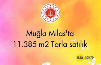 Muğla Milas'ta 11.385 m² Tarla Mahkemeden satılık