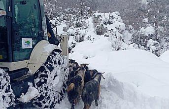 Rize'de karda mahsur kalan 