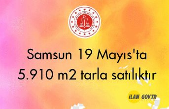 Samsun 19 Mayıs'ta 5.910 m2 tarla mahkemeden satılıktır