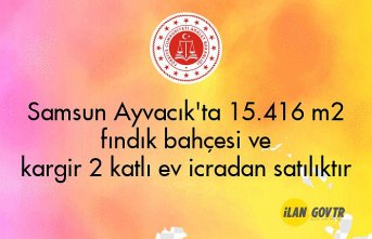Samsun Ayvacık'ta 15.416 m² fındık bahçesi ve kargir 2 katlı ev icradan satılıktır