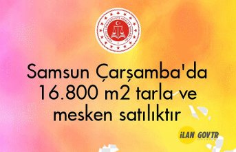 Samsun Çarşamba'da 16.800 m2 tarla ve mesken mahkemeden satılıktır