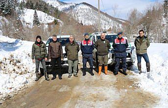 Sinop'ta yaban hayvanları için doğaya yem bırakıldı