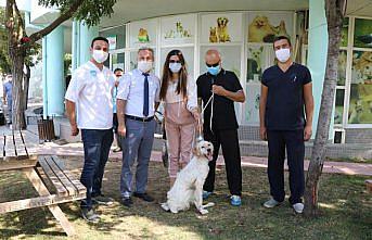 Yaralı bulup tedavi ettirdiği köpek 