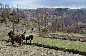 Amasya'da atıl bırakılan küçük ve eğimli arazileri tarıma kazandırıyor