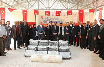 Amasya'da çiftçilere 250 bin çilek fidesi dağıtıldı
