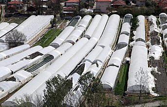 Amasya'da fırtına seralara zarar verdi