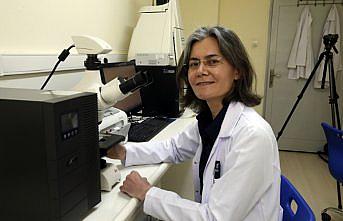 Bilim insanının polislikten başlayıp Antarktika'ya uzanan başarı hikayesi