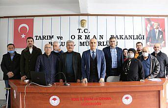 Bolu'da arıcılık kursu başladı